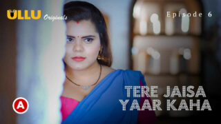 Tere Jaisa Yaar Kaha Ullu Hindi XXX Web Series Ep 6