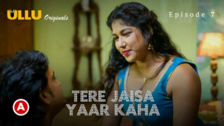 Tere Jaisa Yaar Kaha Ullu Hindi XXX Web Series Ep 7